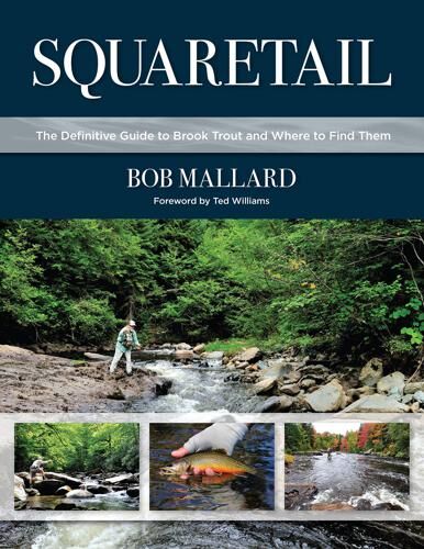 Squaretail: the Definitive Guide to Brook Trout and Where to Catch Them