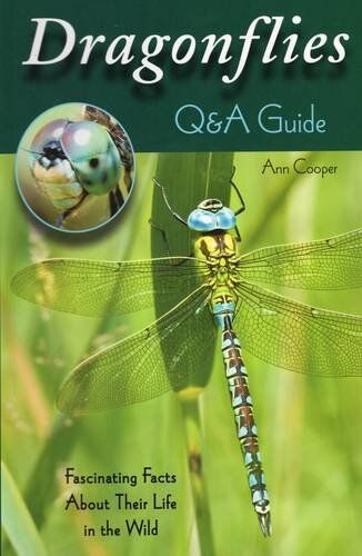 Dragonflies: Q&a Guide