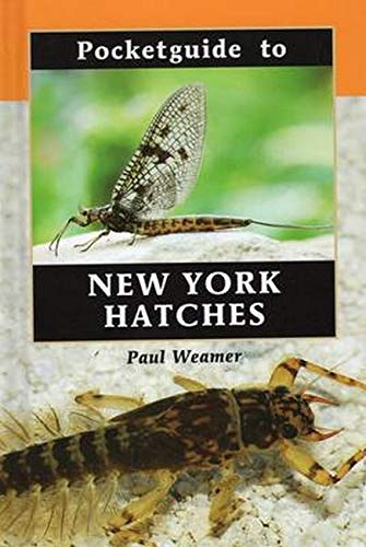 Pocket Guide to New York Hatches