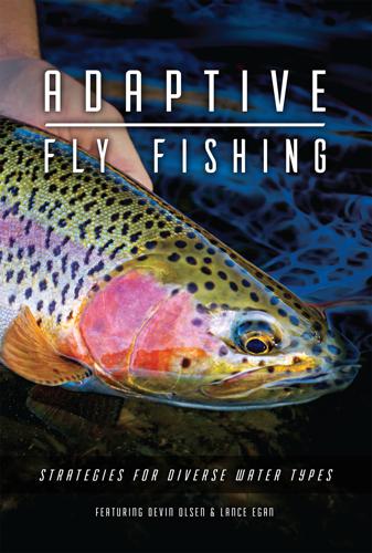 Adaptive Fly Fishing: Strategies for Diverse Water Types