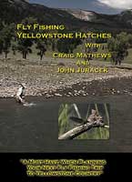 Fly Fishing Yellowstone Hatches - Dvd