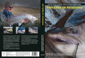 Patterns of Patagonia