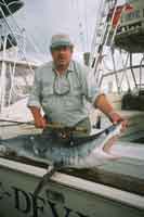 Fly Fishing for Sharks: the Ultimate Challenge!