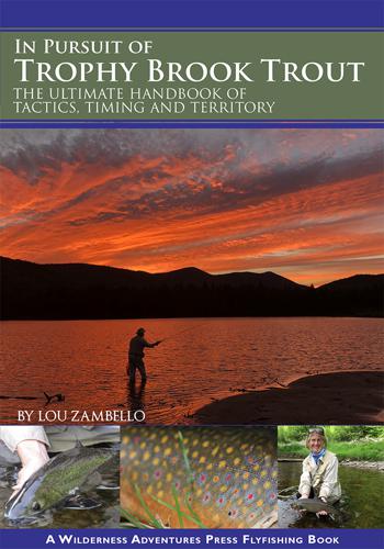 In Pursuit of Trophy Brook Trout