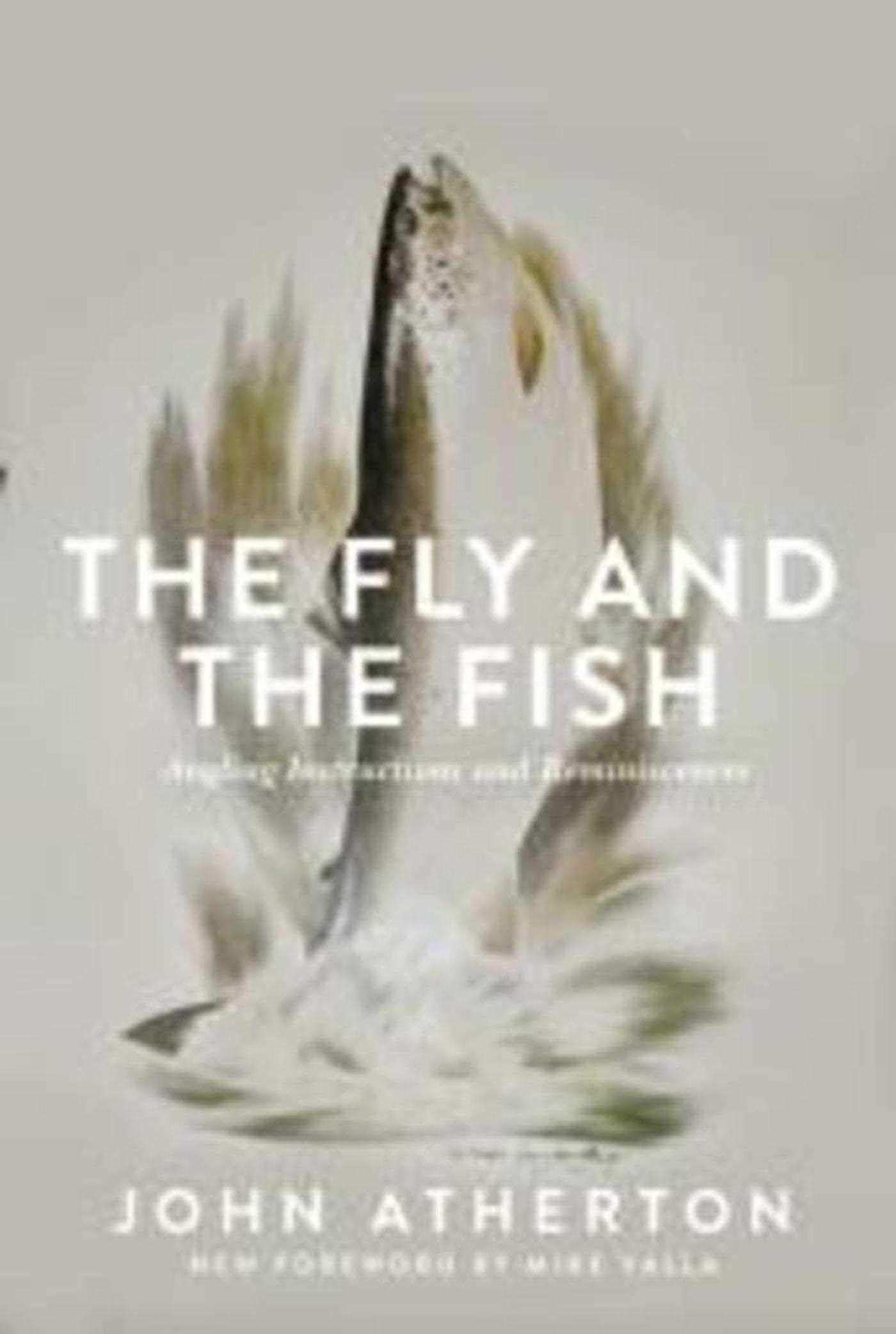 Fly and the Fish Fly and the Fish