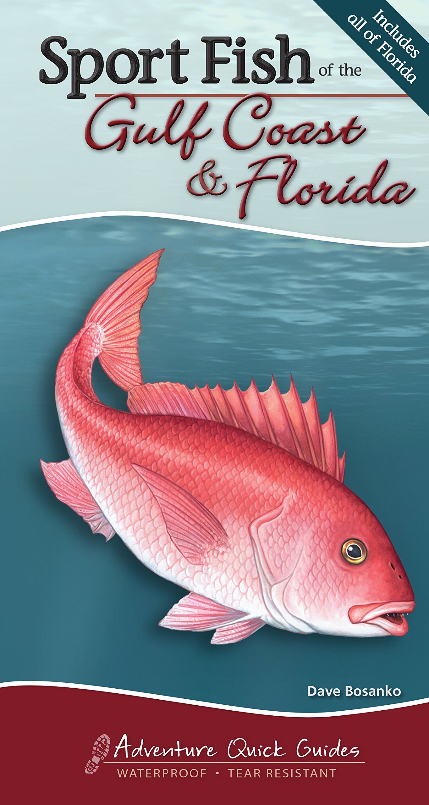 Sport Fish of the Gulf Coast & Florida Sport Fish of the Gulf Coast & Florida